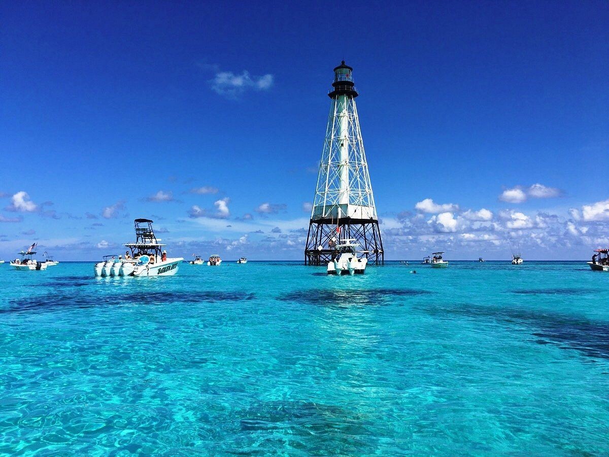 Iconic Alligator Reef
